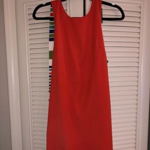 Mini shift dress with back bow detail